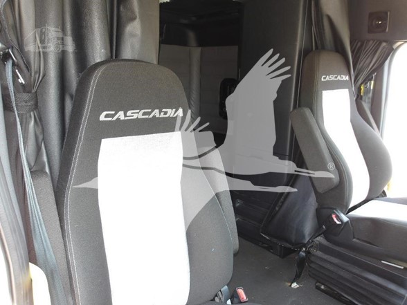 2021 FREIGHTLINER CASCADIA 126 10000861689 2021 FREIGHTLINER CASCADIA 126 10000861689