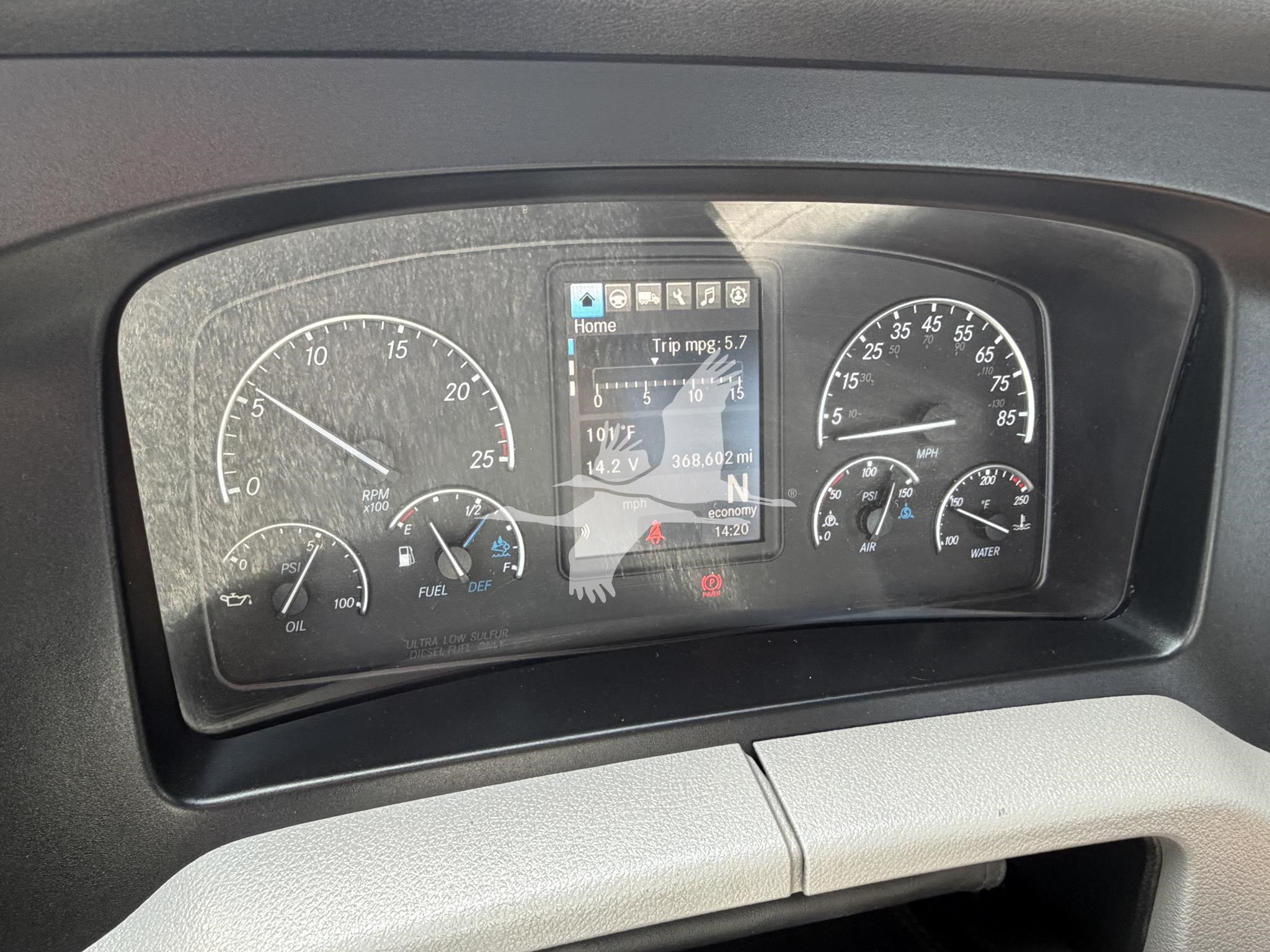 2021 FREIGHTLINER CASCADIA 126 11032657707 2021 FREIGHTLINER CASCADIA 126 11032657707