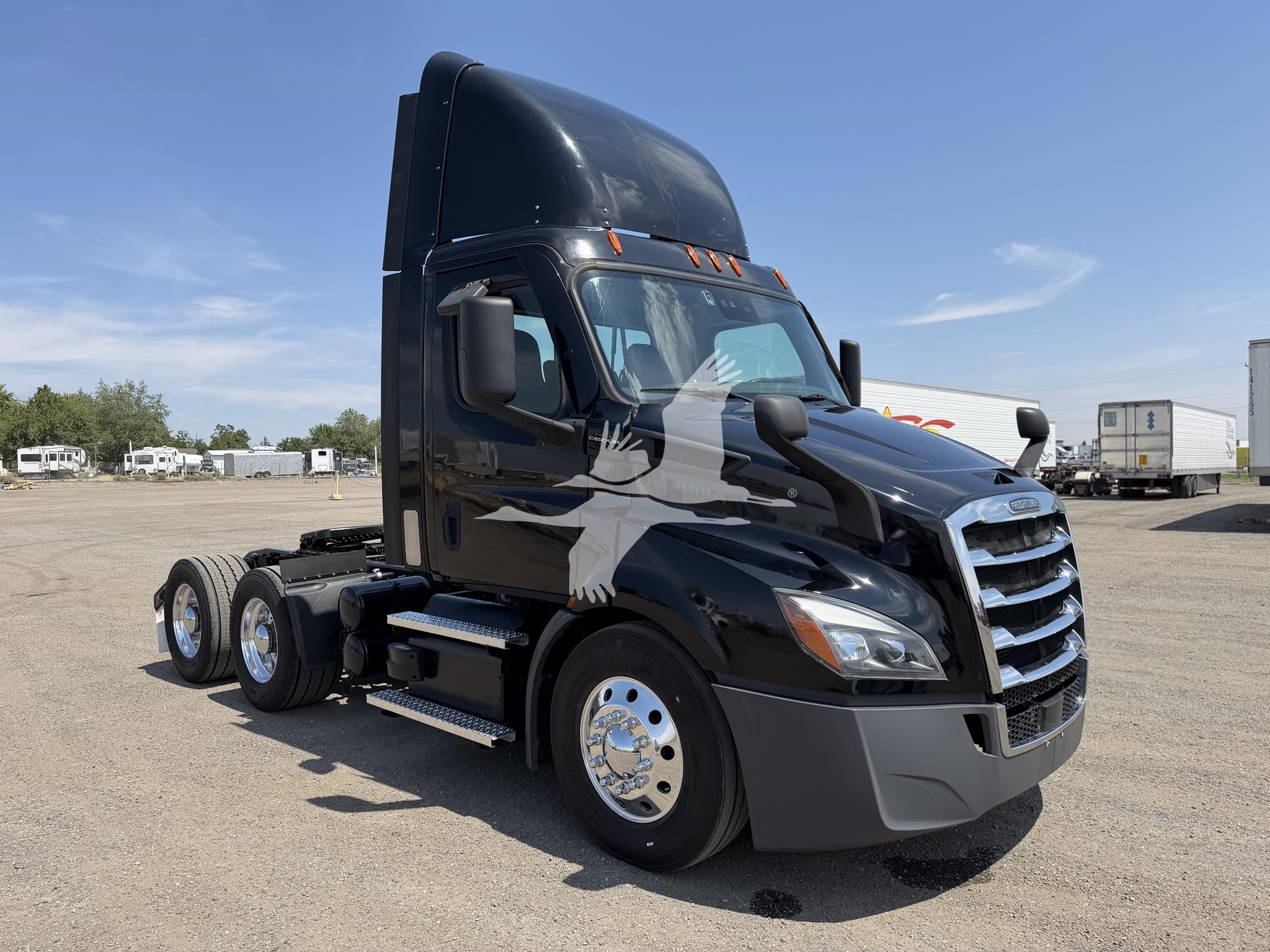 2022 FREIGHTLINER CASCADIA 116 2022 FREIGHTLINER CASCADIA 116 - image 3 of 6