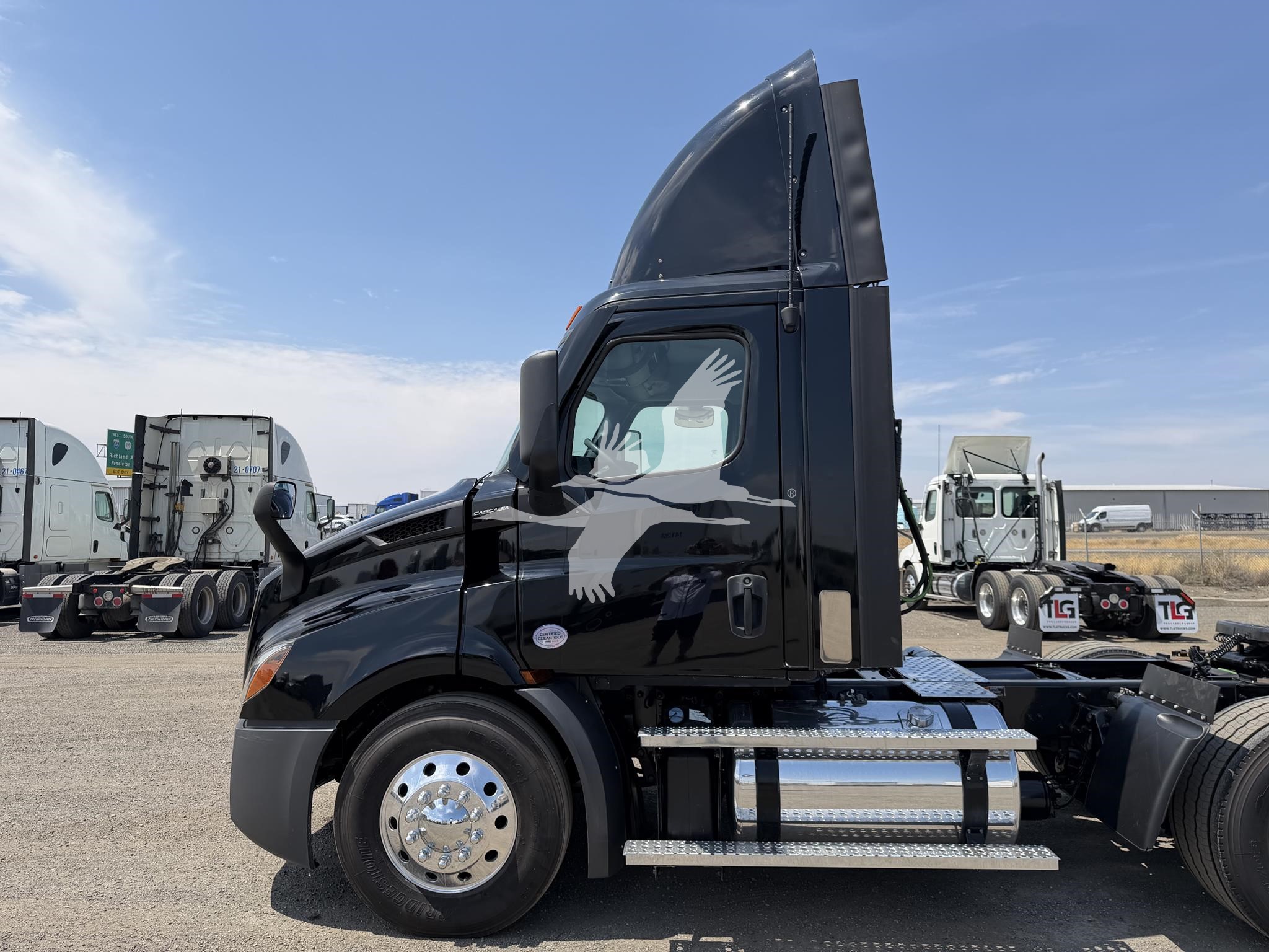 2022 FREIGHTLINER CASCADIA 116 11032669243 2022 FREIGHTLINER CASCADIA 116 11032669243