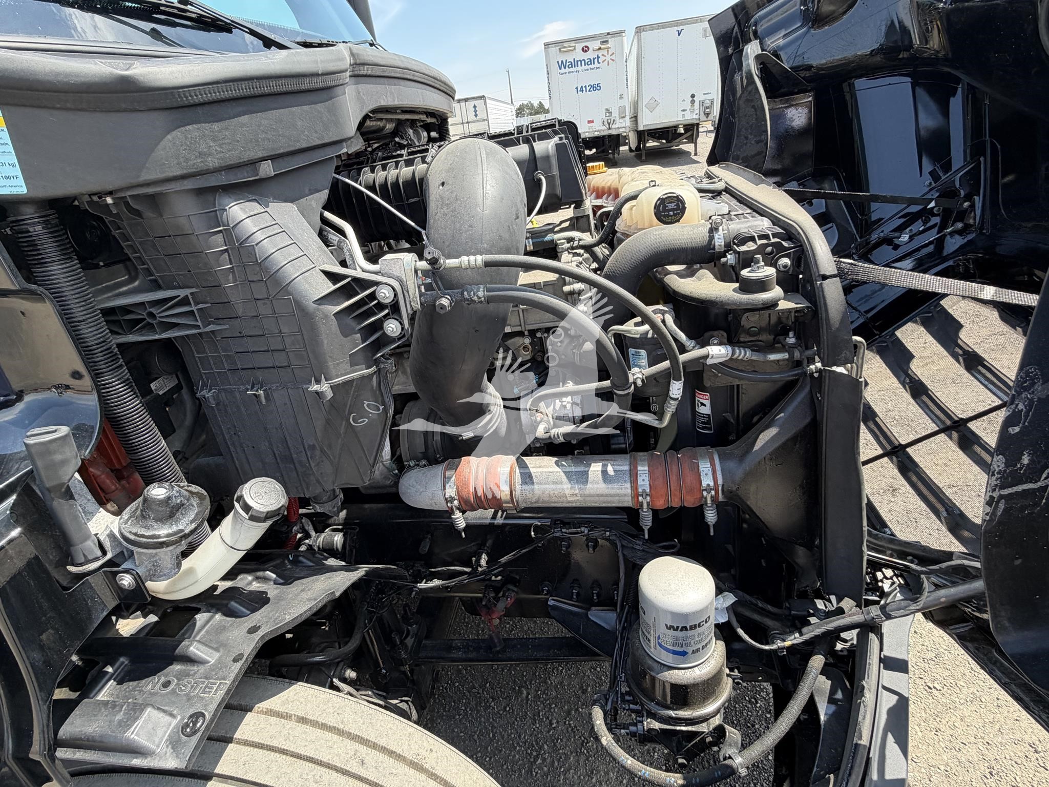 2022 FREIGHTLINER CASCADIA 116 11032669388 2022 FREIGHTLINER CASCADIA 116 11032669388